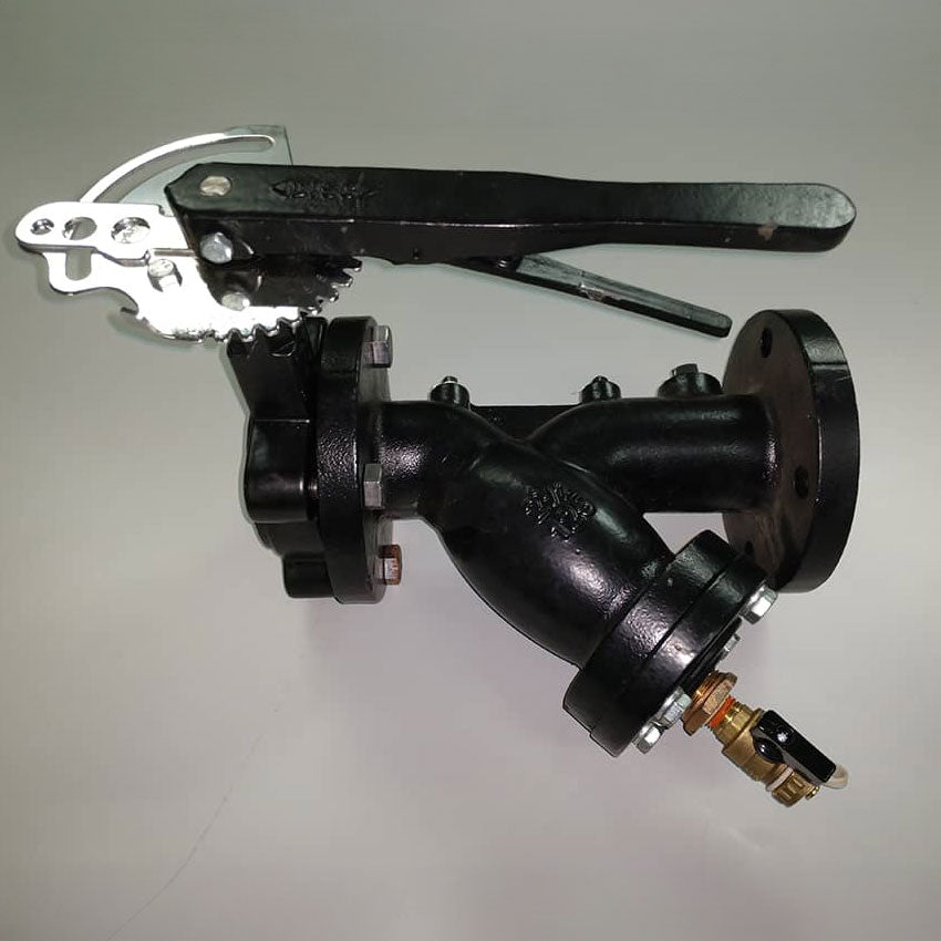 SVF Strainer with cast iron body, lug butterfly valve, (1) 3/4" , (2) 1/4" FNPT accessory tappings, drain connection, stainless steel screen, and 125 # flanged ends